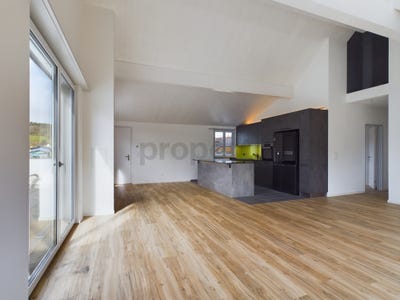 /international/ch/neftenbach-zurich-310107970491/