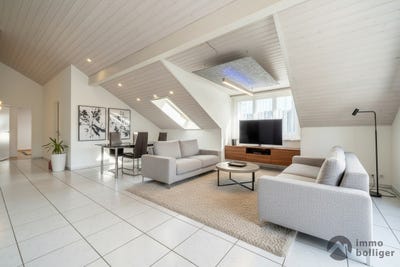 /international/ch/sagenstrasse-4-pfaffnau-lucerne-310102271086/