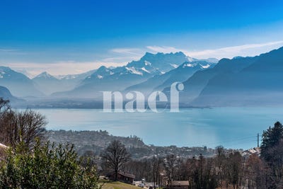 /international/ch/vaud-jongny-vaud-310101598387/