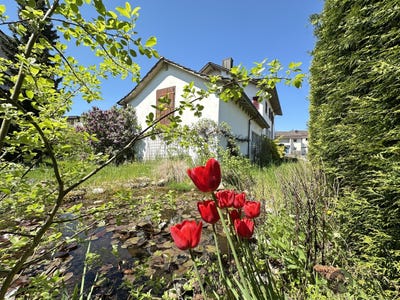 /international/ch/dorfstrasse-7-pfaffnau-lucerne-310100910398/