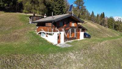 /international/ch/nature-la-tzoumaz-valais-310103447084/
