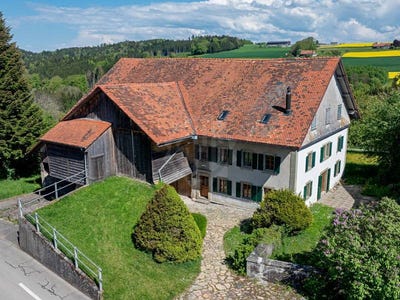 /international/ch/proche-de-moudon-moudon-vaud-310105966801/