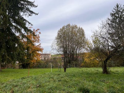 /international/ch/fontenais-canton-of-jura-310104311113/