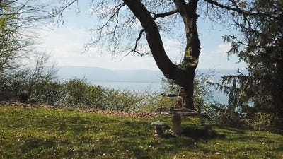 /international/ch/vully-les-lacs-vaud-310108455107/