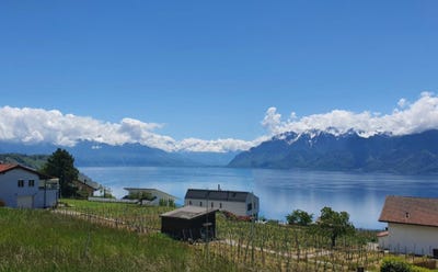 /international/ch/grandvaux-grandvaux-vaud-310105228881/