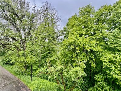 /international/ch/les-brenets-canton-of-neuchatel-310101131070/
