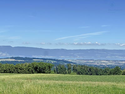/international/ch/lovens-canton-of-fribourg-310106965397/