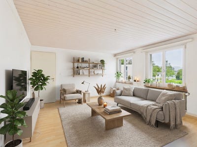 /international/ch/liestal-basel-landschaft-310105892529/