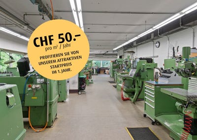 /international/ch/oristalstrasse-97-99-liestal-basel-landschaft-310093856386/