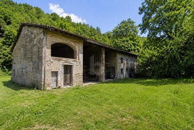 /international/ch/anzonico-ticino-310108860207/