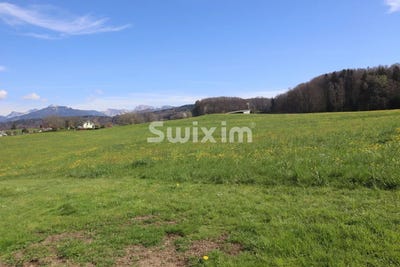 /international/ch/bossonnens-canton-of-fribourg-310098387721/