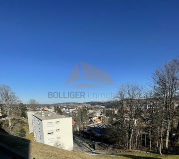 /international/ch/rue-du-point-du-jour-11-la-chaux-de-fonds-canton-of-neuchatel-310100911773/?lang=it