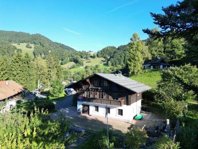 /international/ch/chamby-chamby-vaud-310106428634/