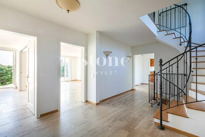 /international/ch/mont-sur-rolle-vaud-310103445167/