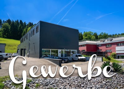 /international/ch/im-tubental-1-elsau-zurich-310108668566/