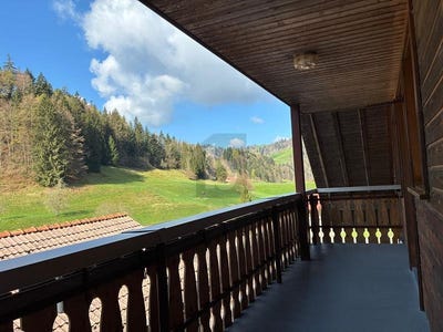 /international/ch/steg-im-tosstal-steg-im-tosstal-zurich-canton-310108940725/