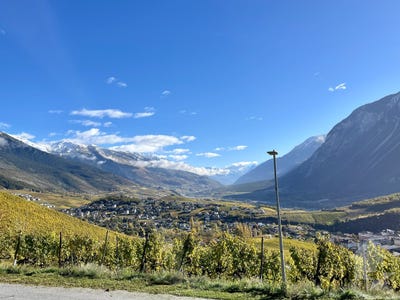 /international/ch/venthone-valais-310106411973/