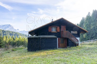 /international/ch/route-du-col-de-la-croix-villars-sur-ollon-vaud-310104524558/