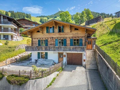 /international/ch/chateau-d-oex-vaud-310108561172/
