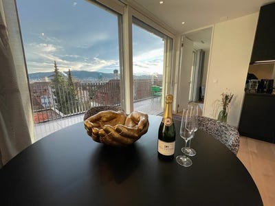 /international/ch/rosengartenstrasse-zurich-zurich-310093834149/?lang=zh-cn
