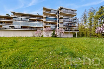 /international/ch/st-cergue-st-cergue-vaud-310109284349/