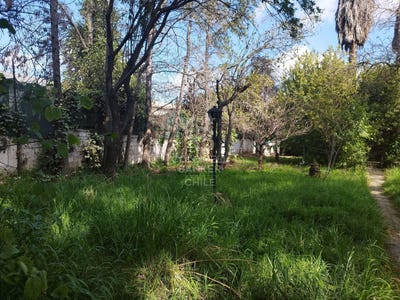 /international/cl/gran-avenida-jose-miguel-carrera-el-bosque-santiago-310108701097/