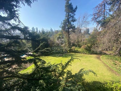 /international/cl/gran-via-vitacura-santiago-310107215899/