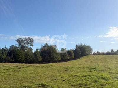 /international/cl/camino-a-trumao-km-san-pablo-los-lagos-region-310108210014/