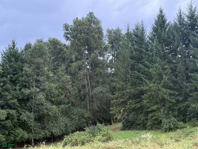 /international/cl/los-riscos-san-lorenzo-parcela-8-pucon-cautin-araucania-cautin-araucania-310106104872/