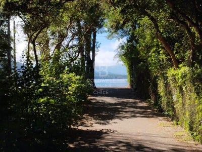 /international/cl/camping-arrayanes-del-foresta-villarrica-araucania-310104445682/