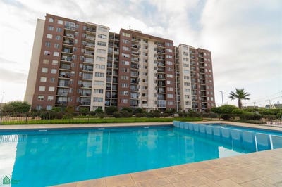 /international/cl/avenida-rene-scheiner-2031-coquimbo-elqui-coquimbo-elqui-coquimbo-310105941274/