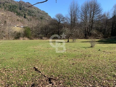 /international/cl/km-ruta-internacional-ch-curarrehue-araucania-310108372407/