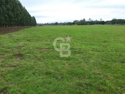 /international/cl/fundo-los-melies-km-osorno-los-lagos-region-310108213649/