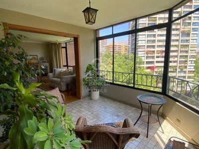 /international/cl/las-torcazas-las-condes-santiago-310108525396/