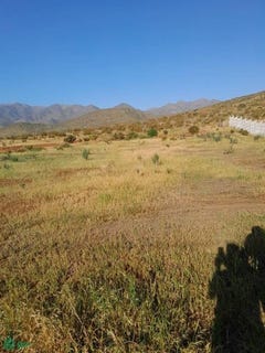 /international/cl/quebrada-martinez-lt75-coquimbo-elqui-coquimbo-elqui-coquimbo-310106715361/