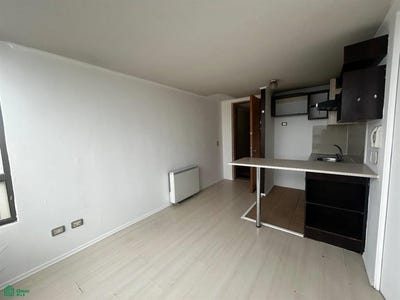 /international/cl/nataniel-cox-599-dpto-1804-santiago-santiago-region-metropolitana-de-santiago-santiago-santiago-310107374055/