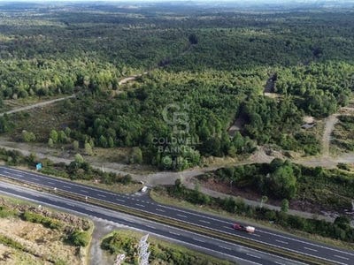 /international/cl/costado-derecho-de-la-doble-via-ruta-puerto-montt-los-lagos-region-310104460088/