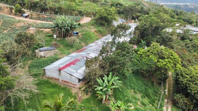 /international/co/granja-avicola-palonegro-lebrija-unit-0-lebrija-santander-department-310106828528/