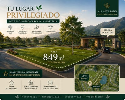 /international/co/ibague-tolima-310108324125/