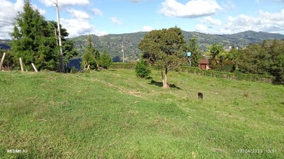 /international/co/vda-el-salado-guarne-antioquia-colombia-guarne-antioquia-310100668968/