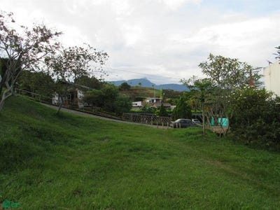 /international/co/kilometro-7-via-potrerito-j14-j16-potrerito-sun-village-jamundi-valle-del-cauca-valle-del-cauca-310106462077/