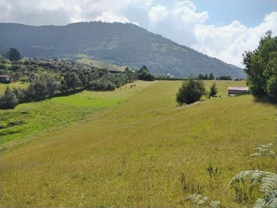 /international/co/via-vereda-la-carbonera-guatavita-cundinamarca-310101441038/