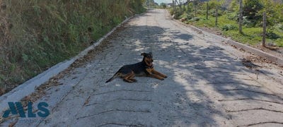/international/co/el-penol-antioquia-310100636356/