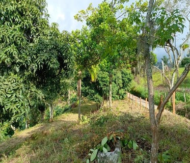 /international/co/cl-7-16-14-pacho-cundinamarca-colombia-pacho-cundinamarca-310099838390/?lang=fr