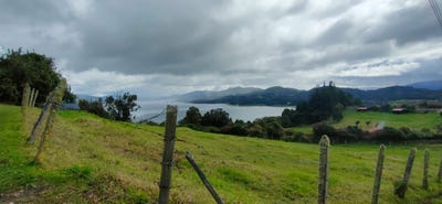 /international/co/vereda-san-jose-sesquile-cundinamarca-310098203617/?lang=en