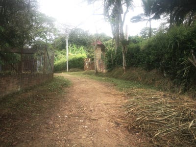/international/co/la-esperanza-la-mesa-cundinamarca-colombia-la-mesa-cundinamarca-310100990128/?lang=zh-tw