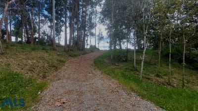/international/co/unit-014-la-ceja-antioquia-310107413388/