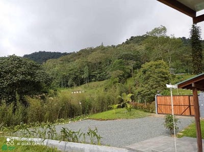 /international/co/parcelacion-el-ensueno-parcelacio-el-ensueno-dagua-valle-del-cauca-dagua-valle-del-cauca-310105208160/