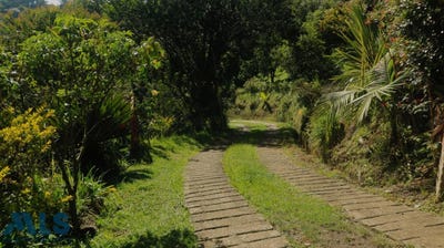 /international/co/rionegro-antioquia-310090802431/