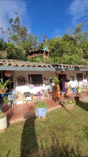 /international/co/felidia-cali-valle-del-cauca-colombia-cali-valle-del-cauca-310100669225/?lang=de